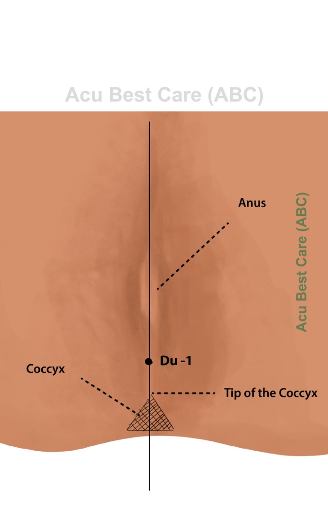 Acubestcare Meridian DU-01