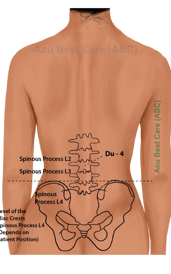 Acubestcare Meridian DU-04