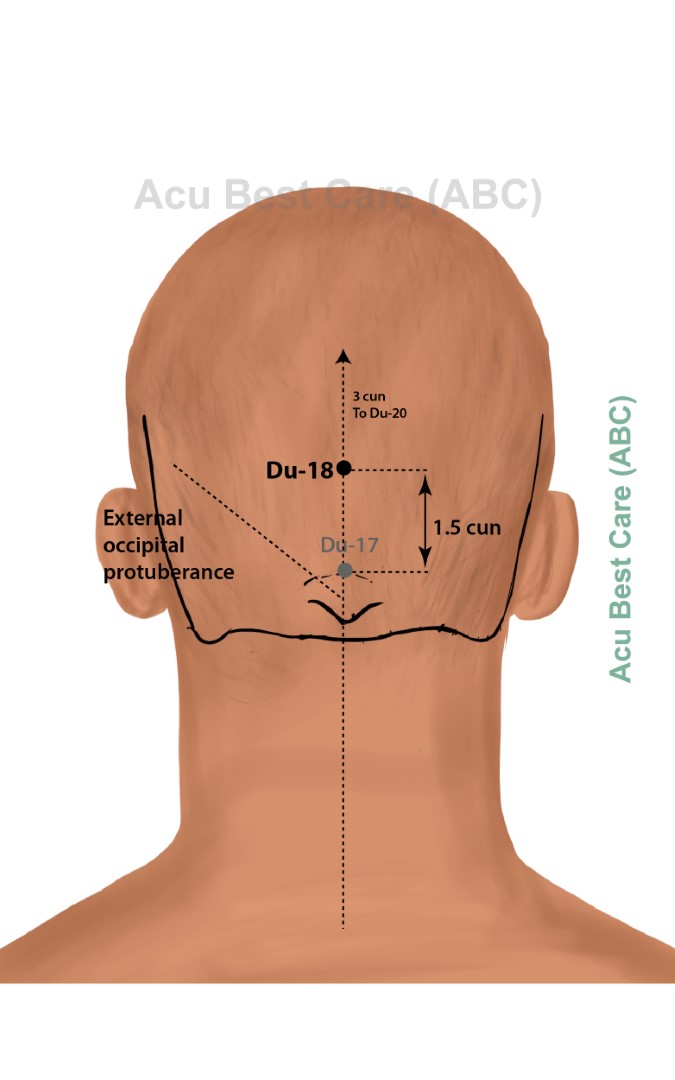 Acubestcare Meridian DU-18