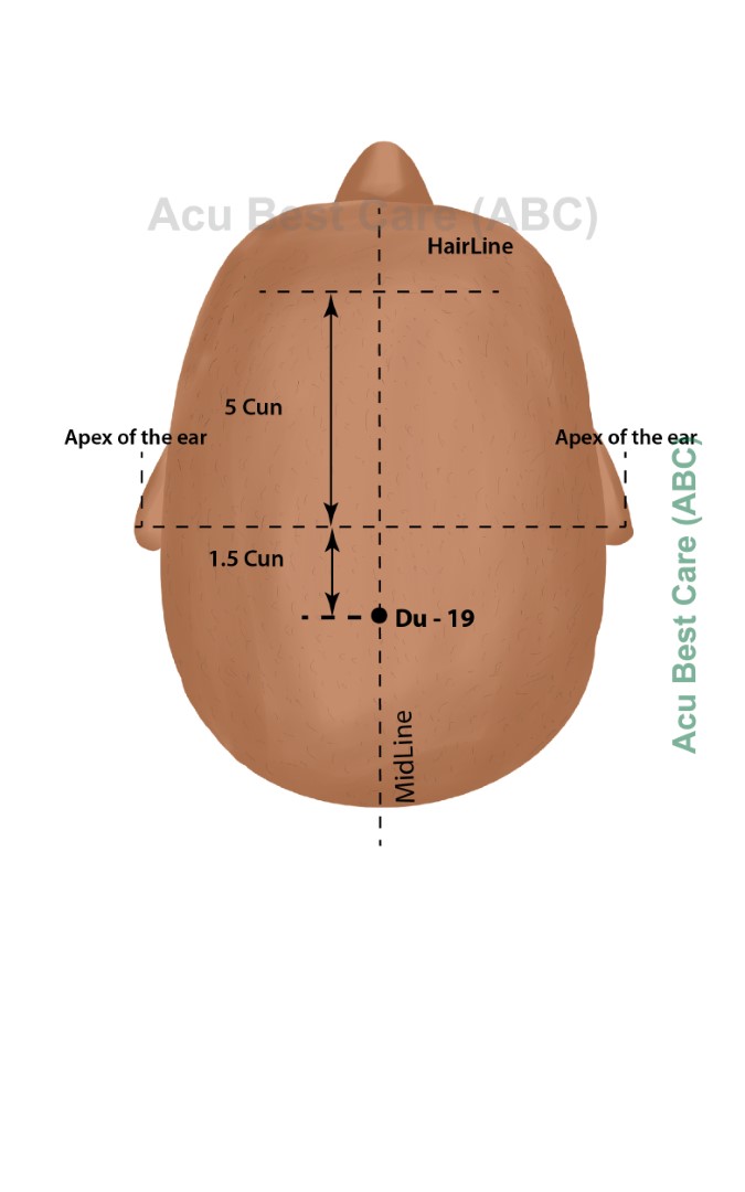 Acubestcare Meridian DU-19