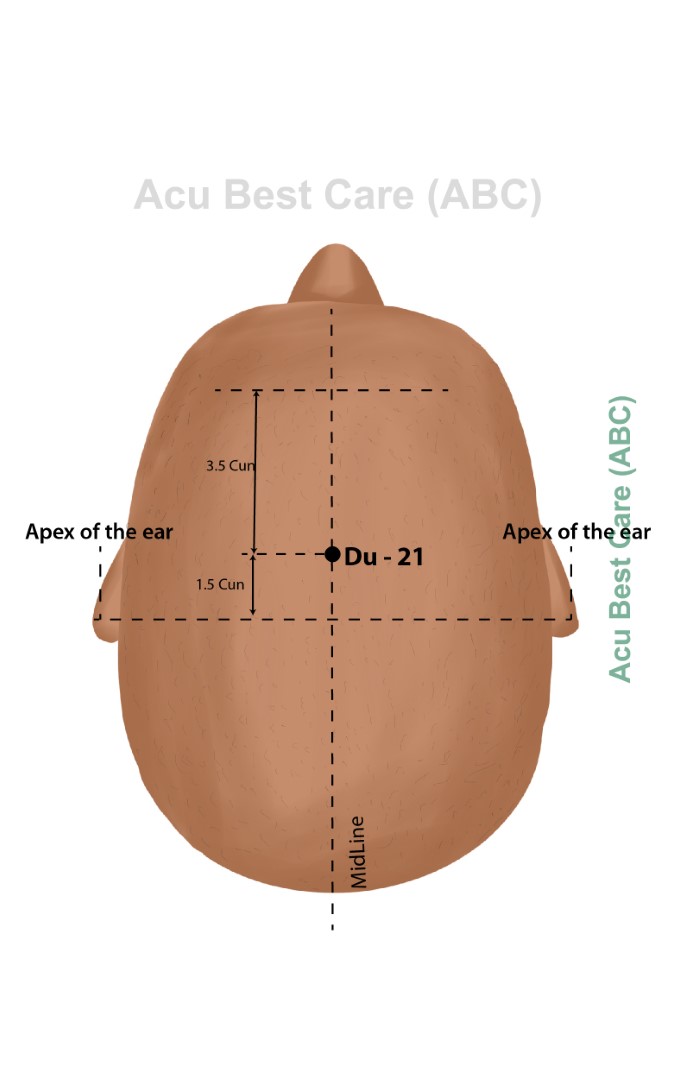 Acubestcare Meridian DU-21