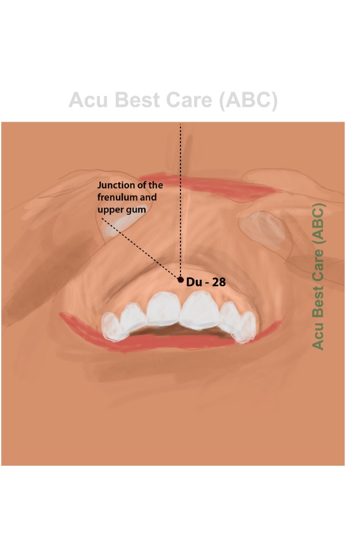 Acubestcare Meridian DU-28