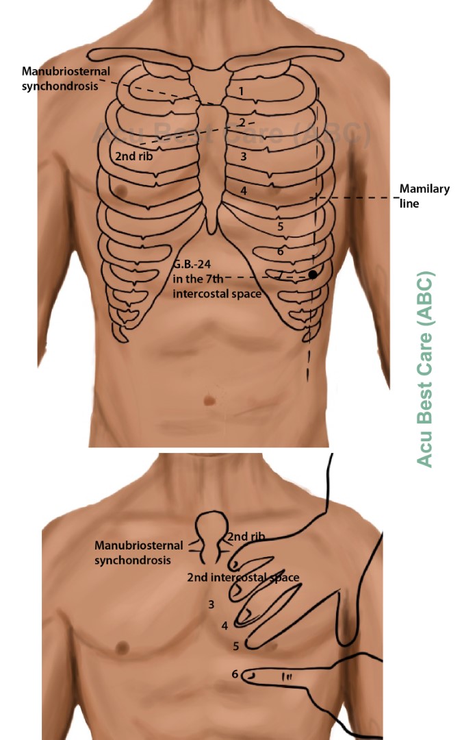 Acubestcare Meridian GB-24