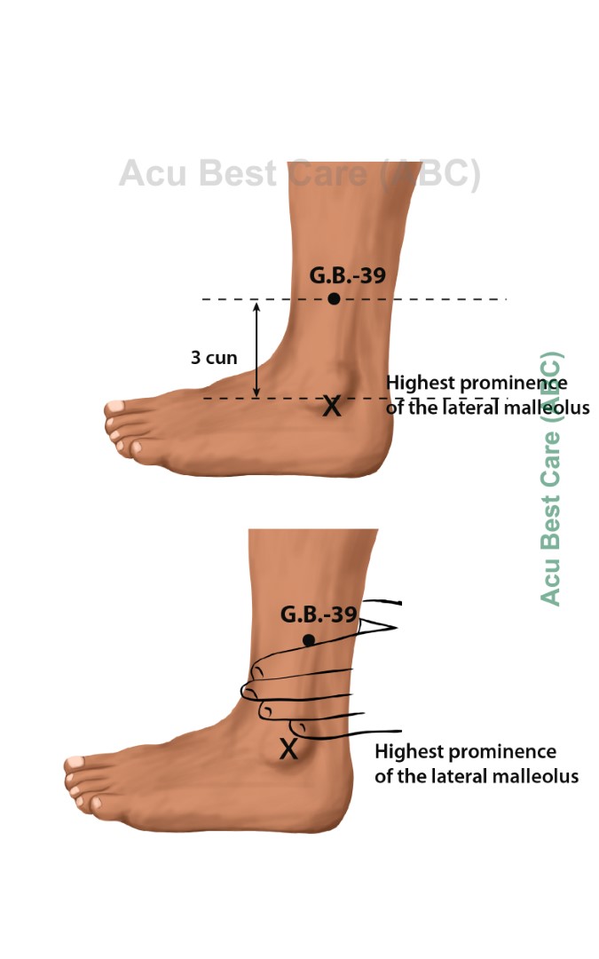 Acubestcare Meridian GB-39