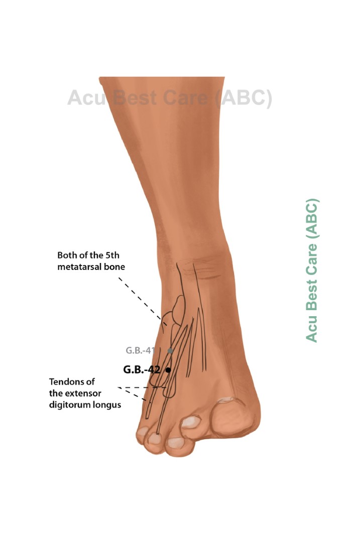 Acubestcare Meridian GB-42