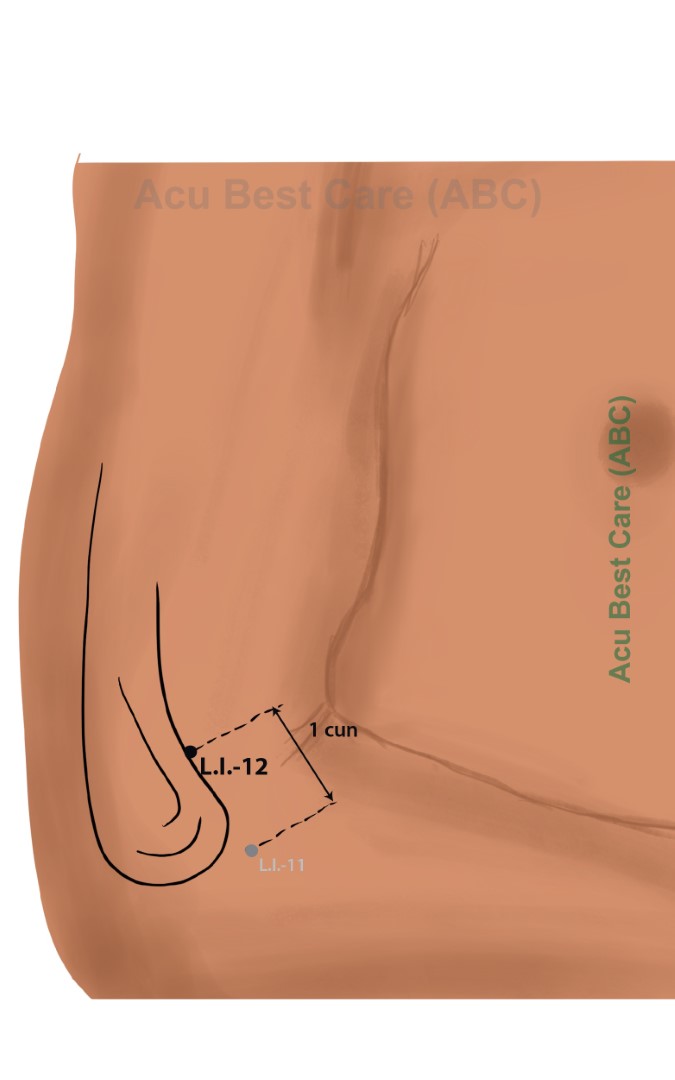 Acubestcare Meridian LI-12