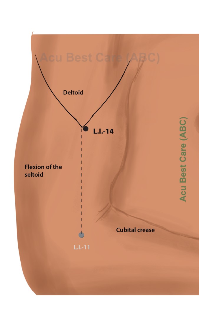 Acubestcare Meridian LI-14