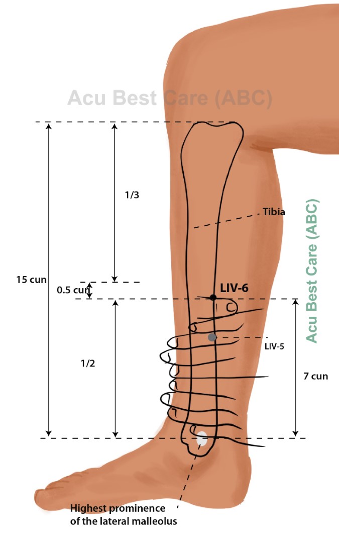 Acubestcare Meridian LIV-06