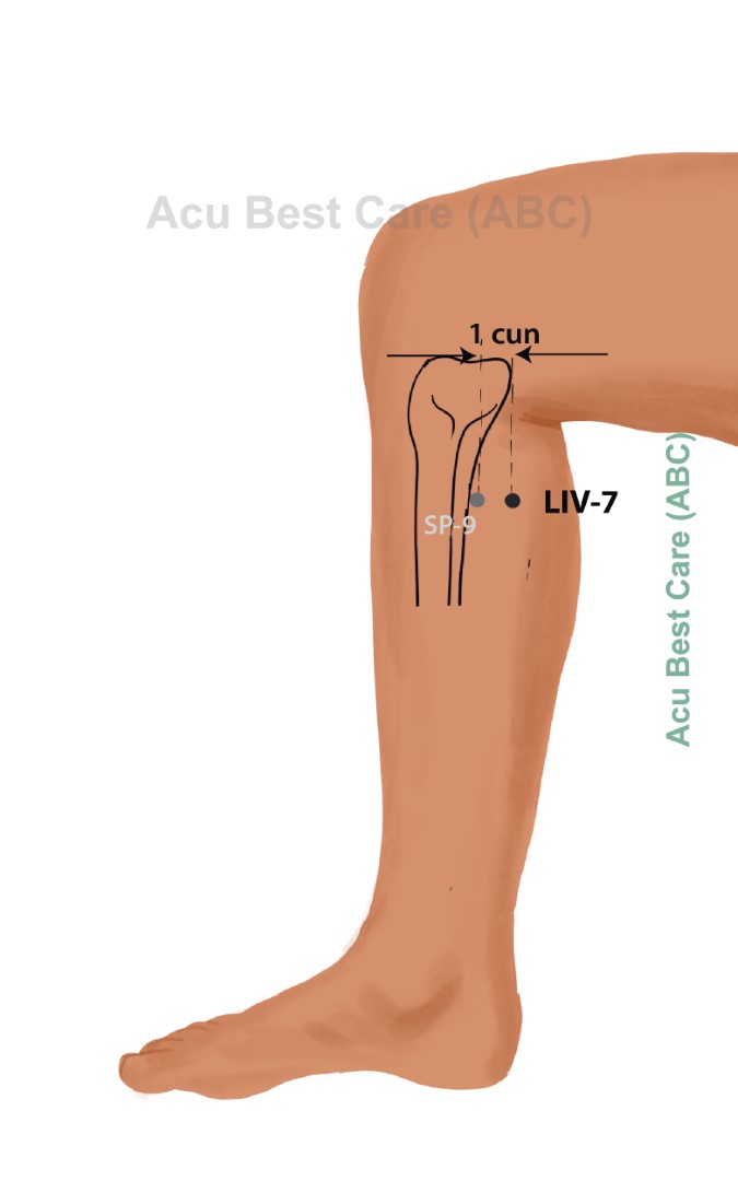 Acubestcare Meridian LIV-07