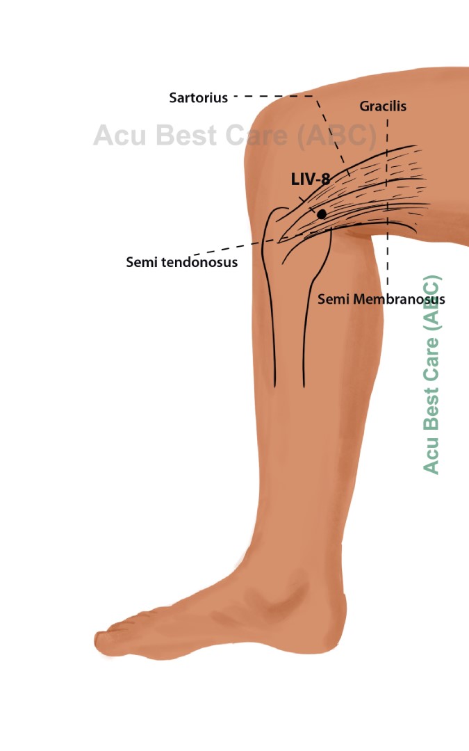 Acubestcare Meridian LIV-08