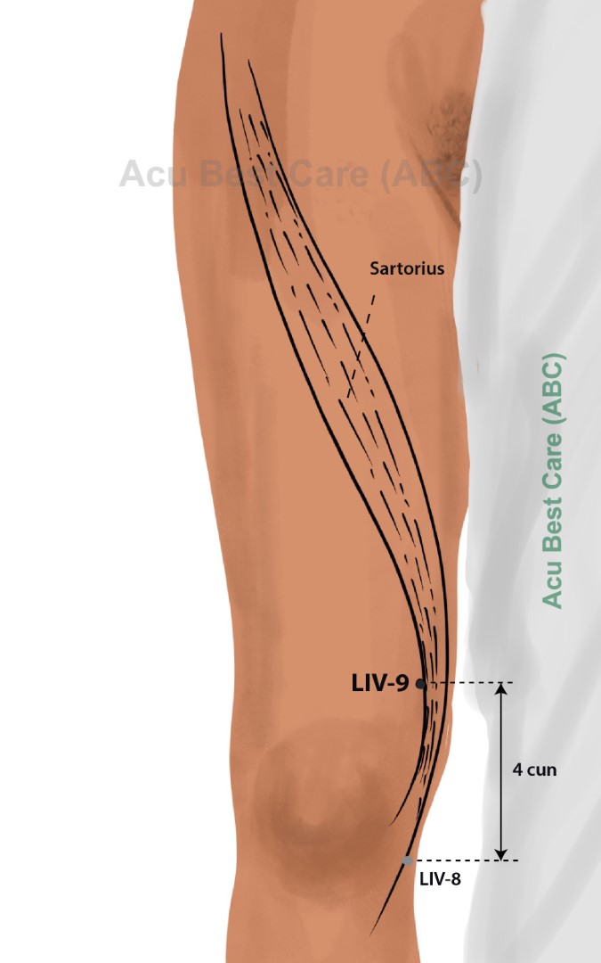 Acubestcare Meridian LIV-09