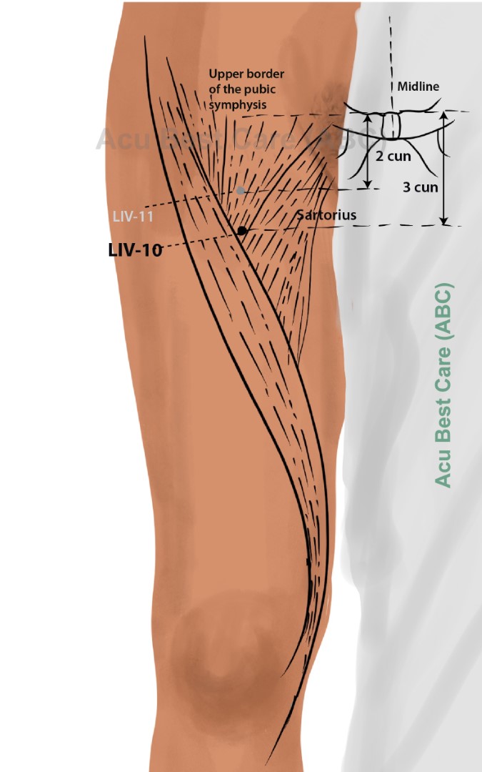 Acubestcare Meridian LIV-10