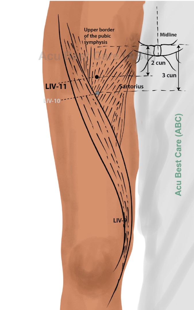 Acubestcare Meridian LIV-11