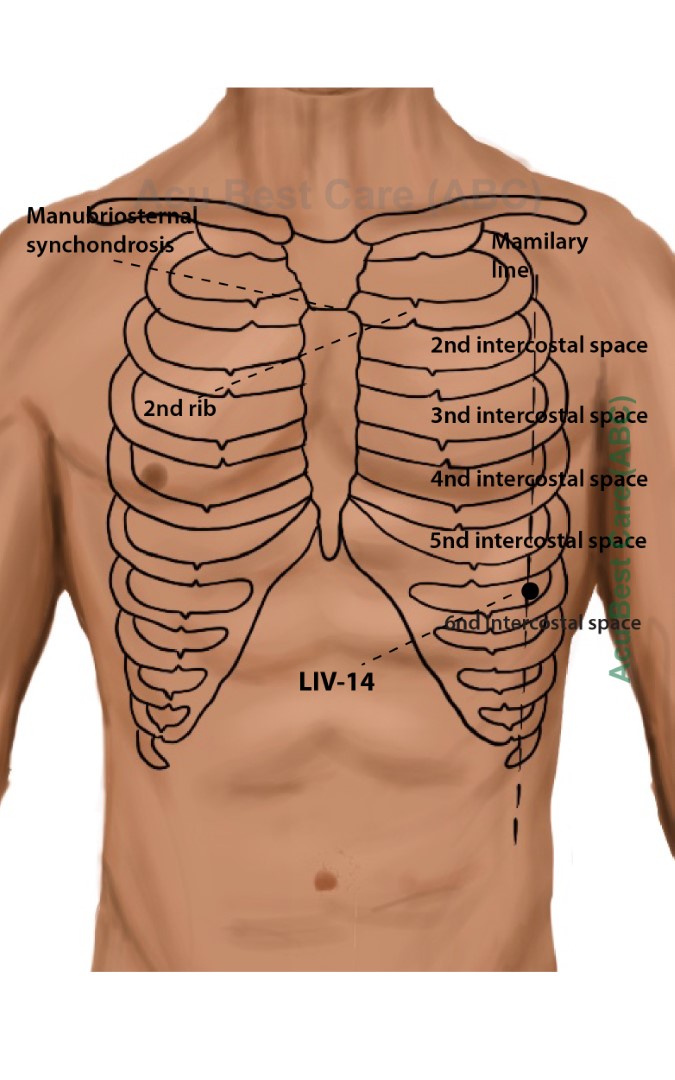 Acubestcare Meridian LIV-14