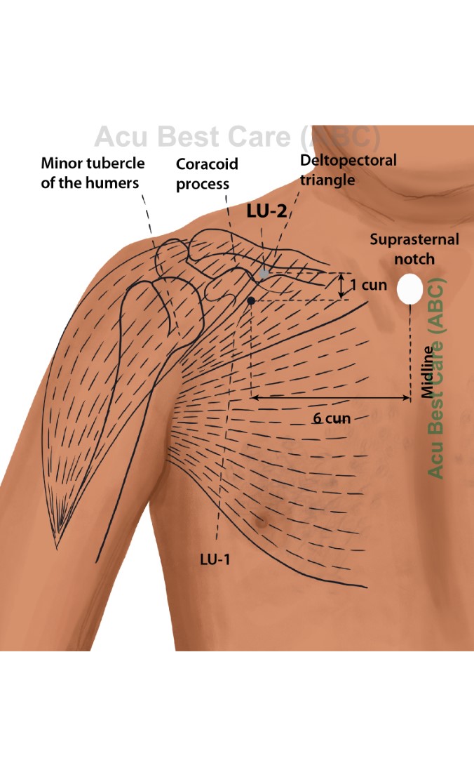 Acubestcare Meridian LU-02