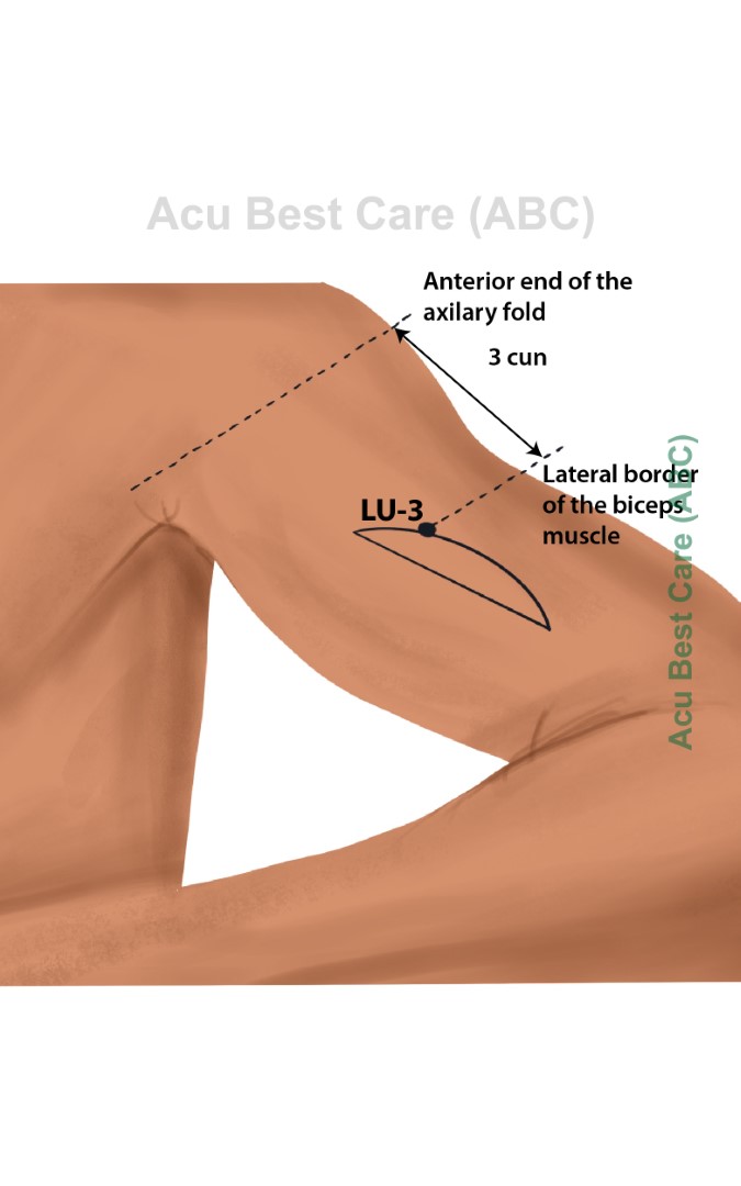 Acubestcare Meridian LU-03