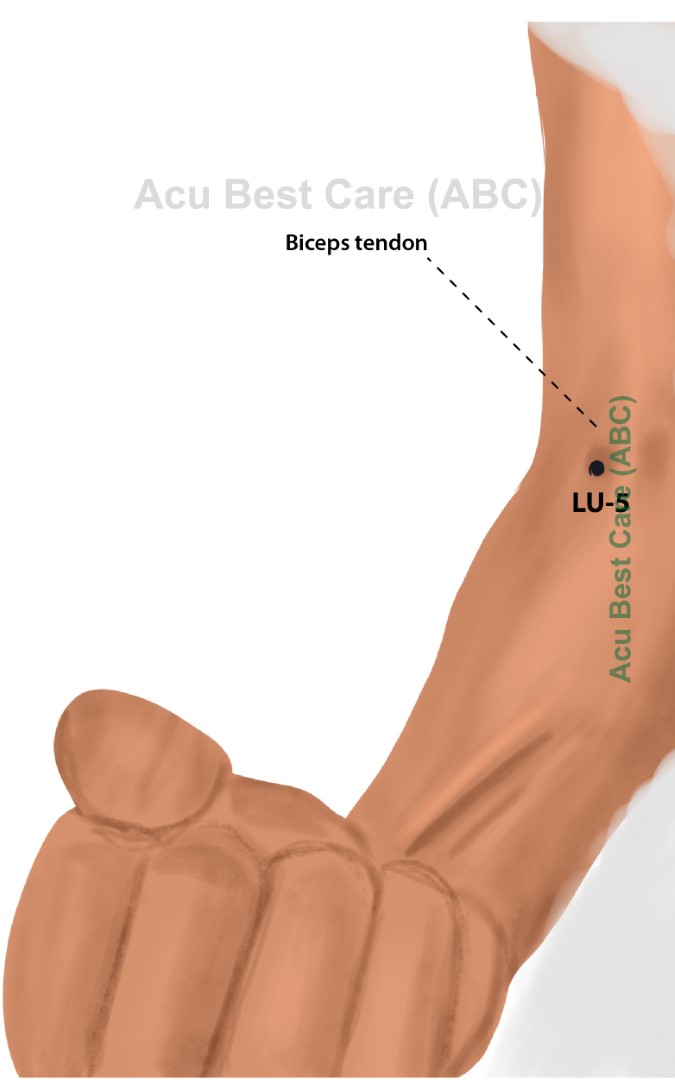 Acubestcare Meridian LU-05