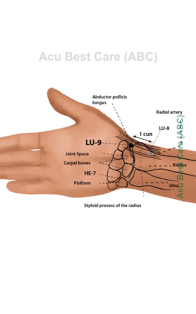 Acubestcare Meridian LU-09