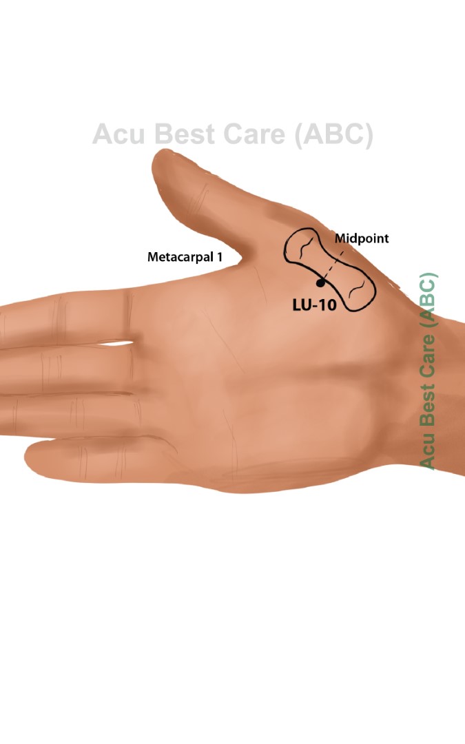 Acubestcare Meridian LU-10