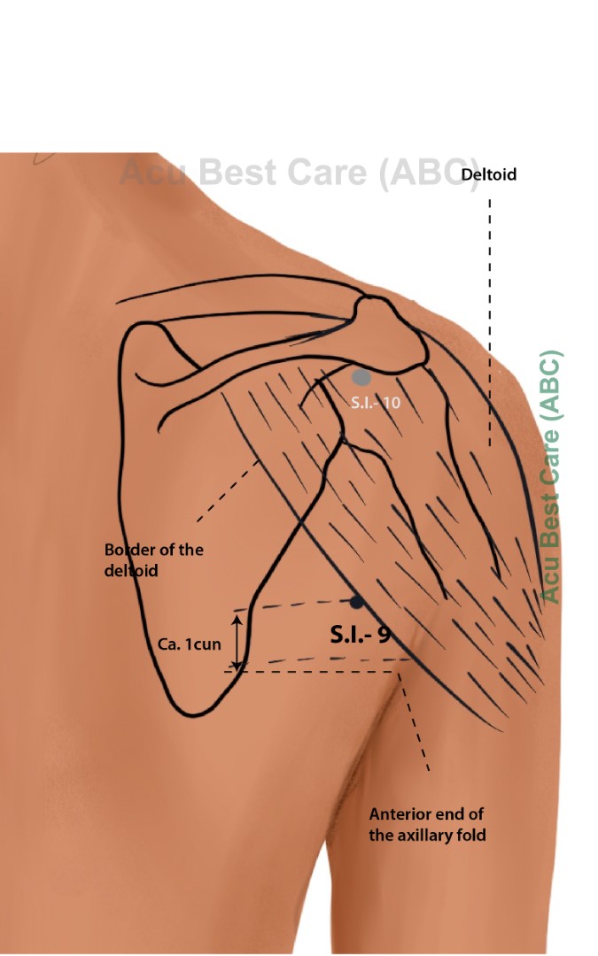 Acubestcare Meridian SI-09