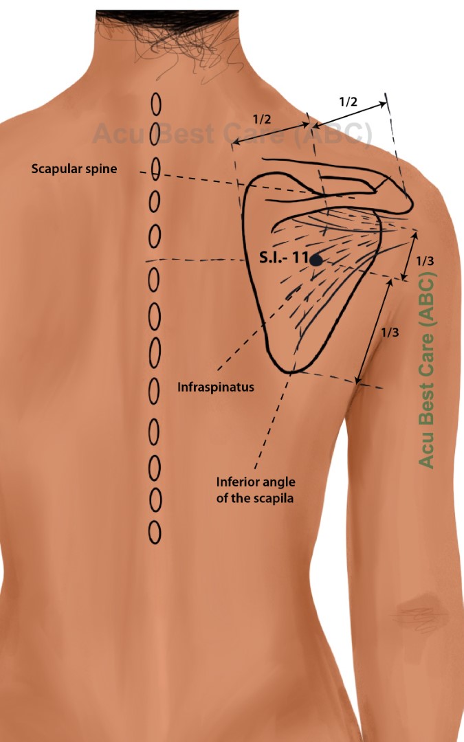 Acubestcare Meridian SI-11