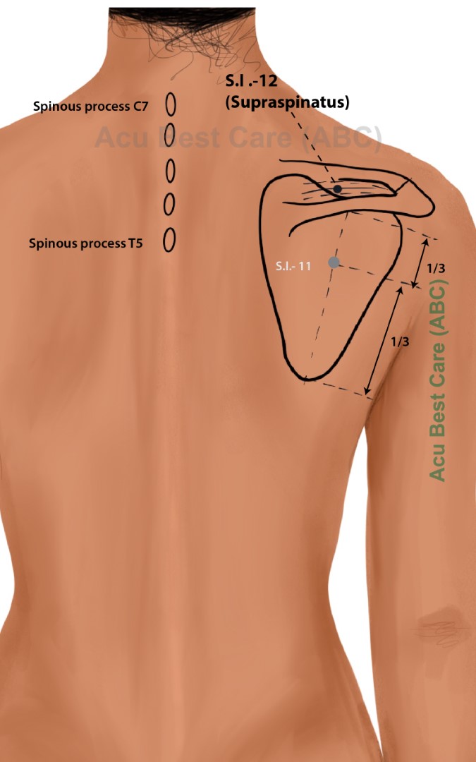 Acubestcare Meridian SI-12