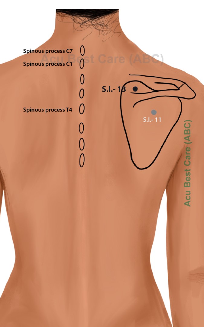 Acubestcare Meridian SI-13