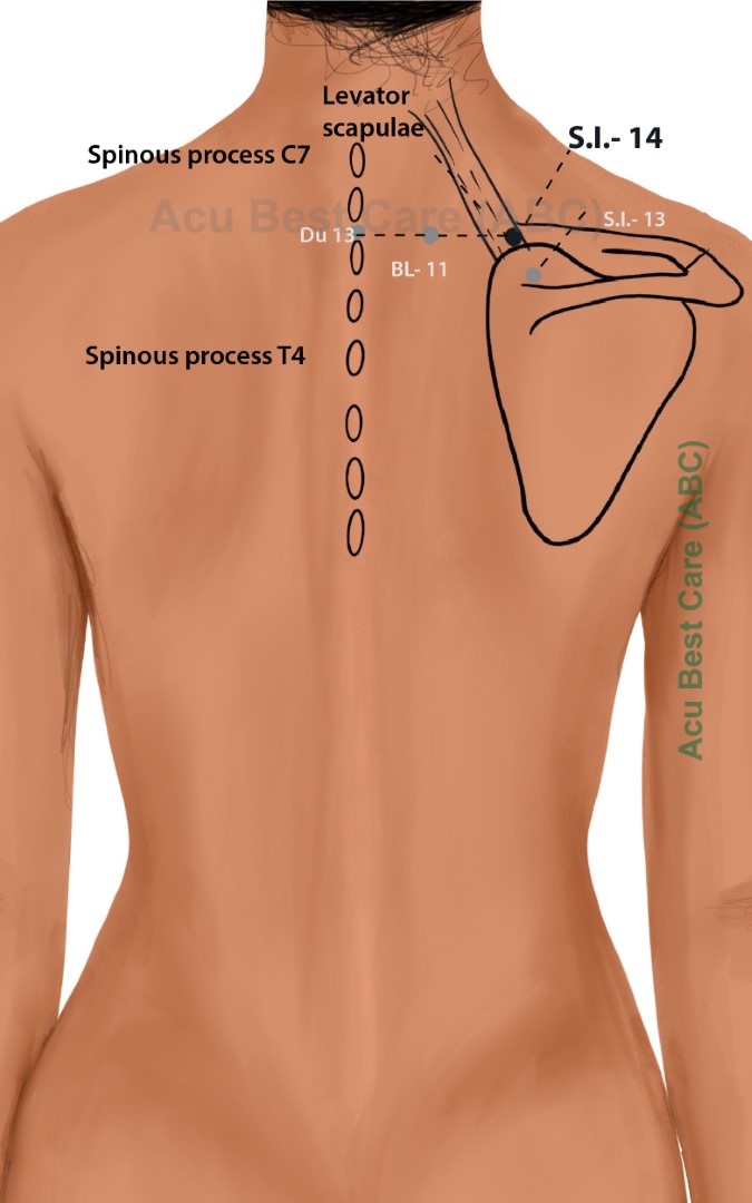 Acubestcare Meridian SI-14