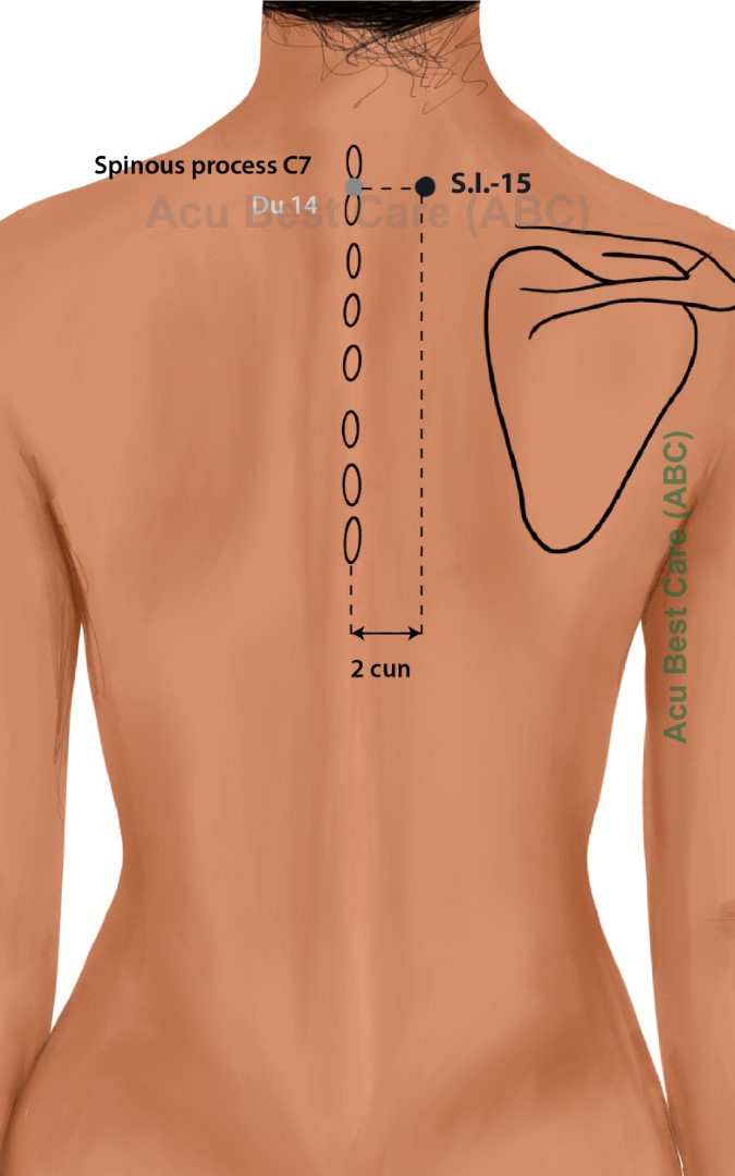 Acubestcare Meridian SI-15