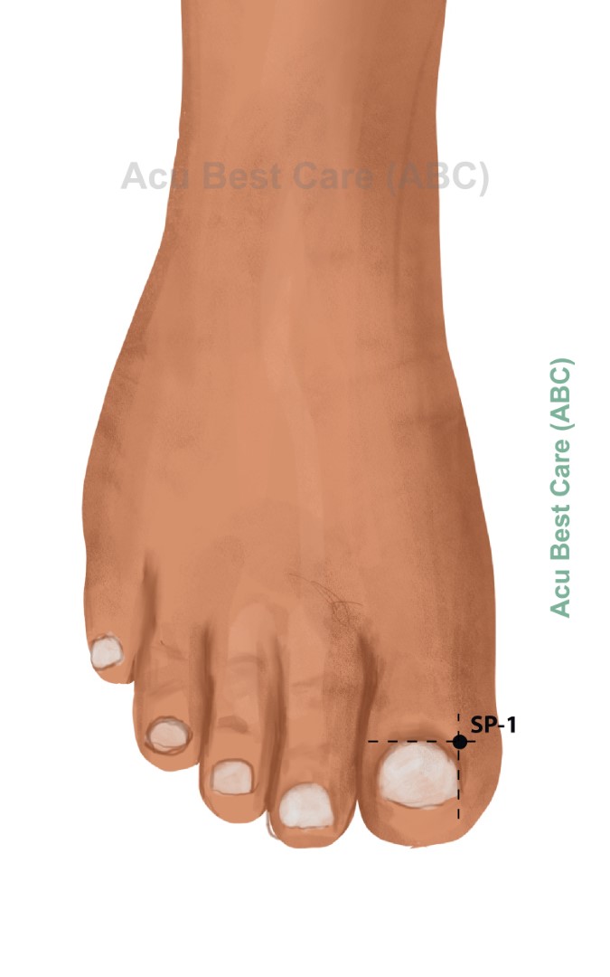 Acubestcare Meridian SP-01