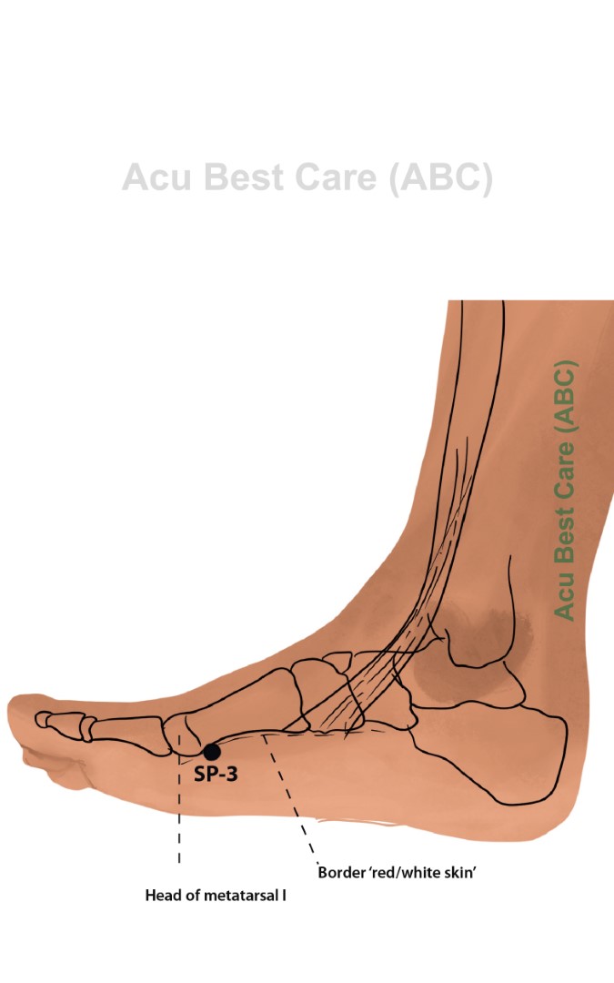 Acubestcare Meridian SP-03