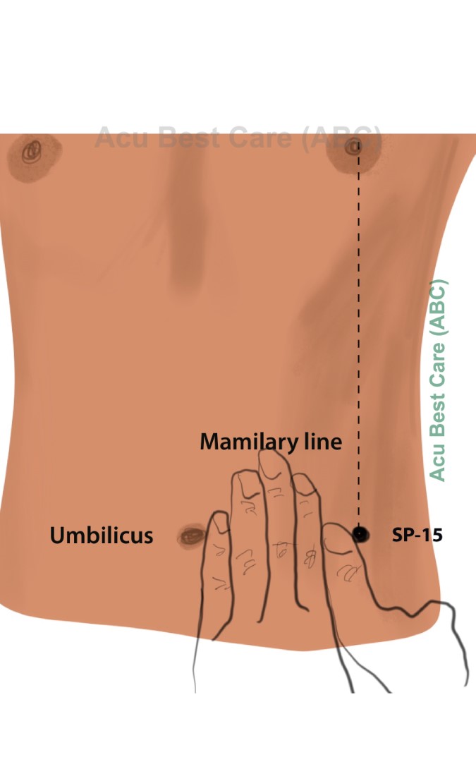 Acubestcare Meridian SP-15