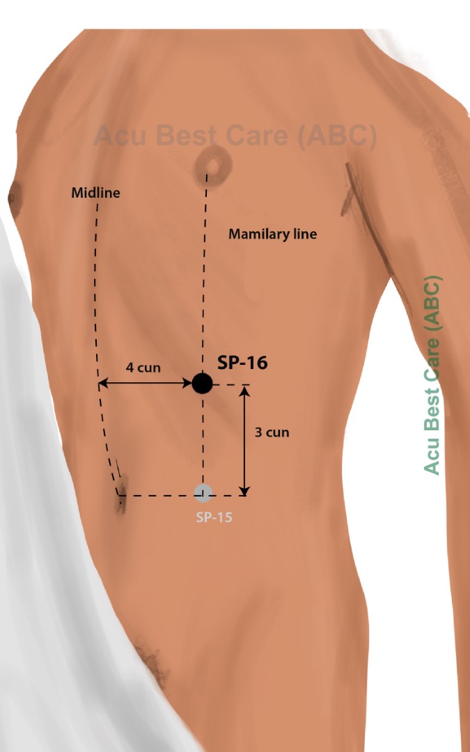 Acubestcare Meridian SP-16