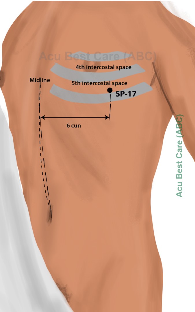 Acubestcare Meridian SP-17