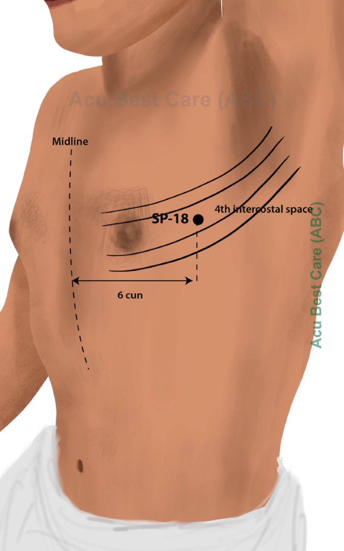 Acubestcare Meridian SP-18