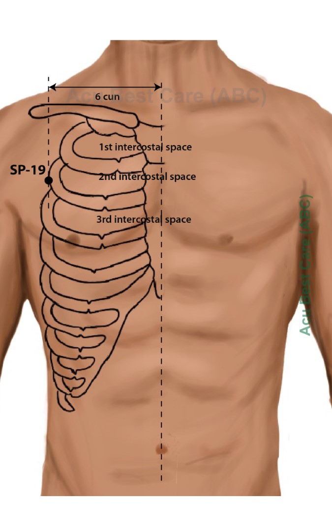 Acubestcare Meridian SP-19