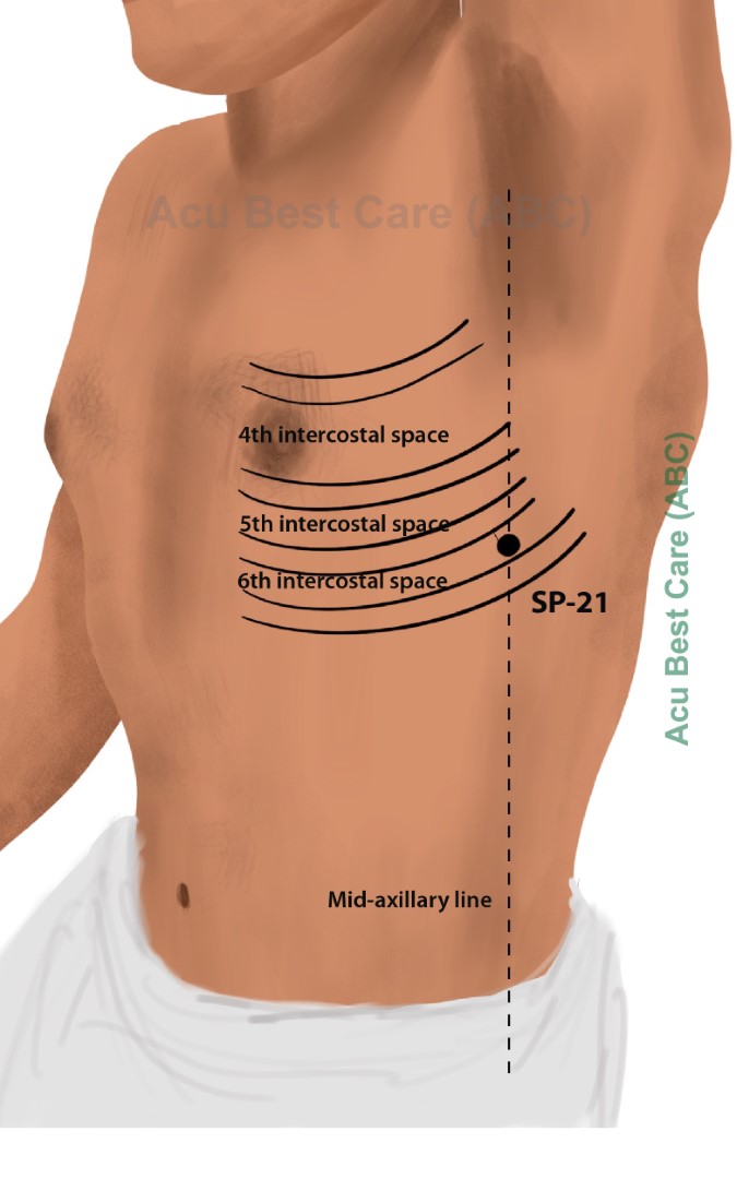 Acubestcare Meridian SP-21