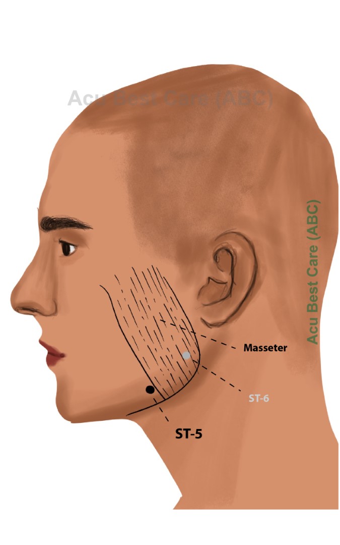 Acubestcare Meridian ST-05