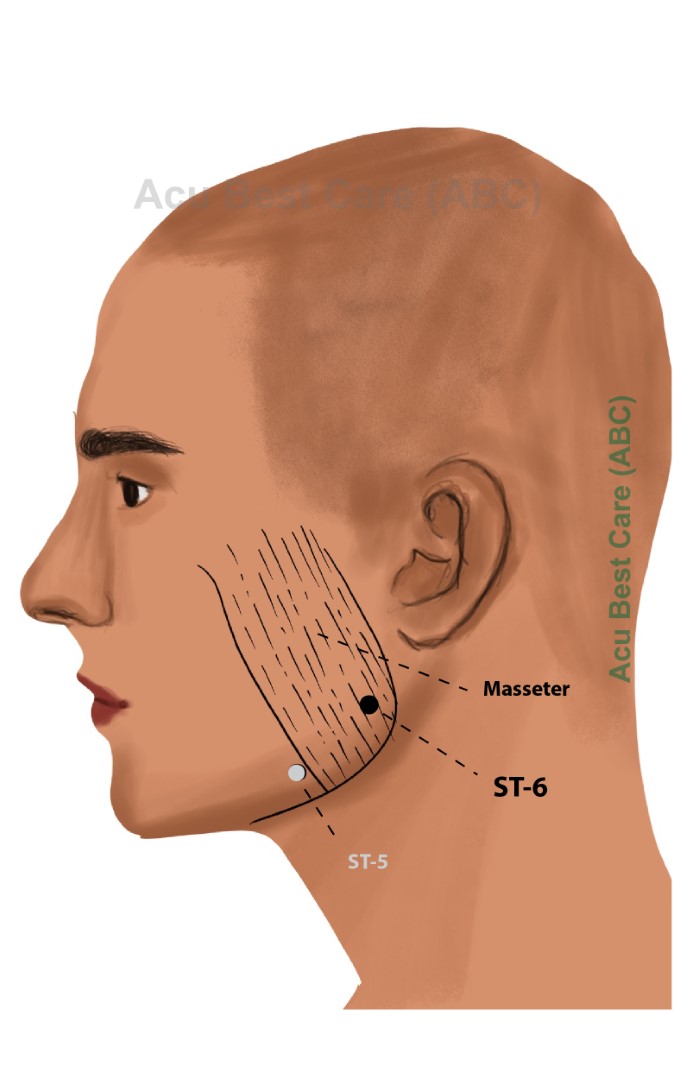 Acubestcare Meridian ST-06