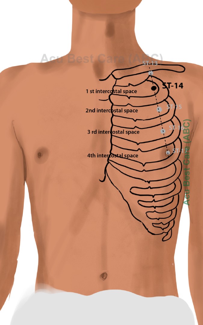 Acubestcare Meridian ST-14