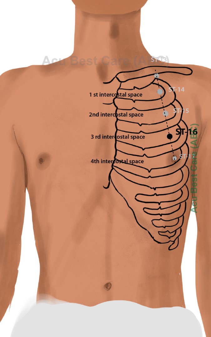 Acubestcare Meridian ST-16