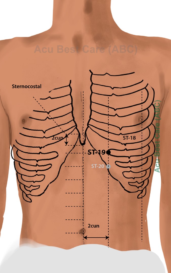 Acubestcare Meridian ST-19