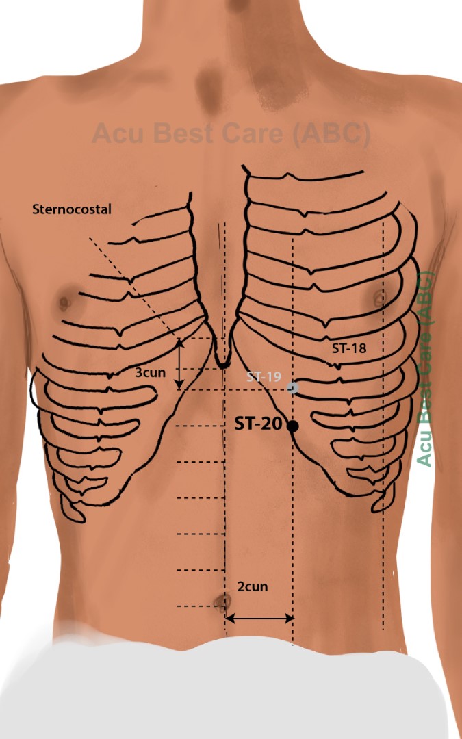 Acubestcare Meridian ST-20