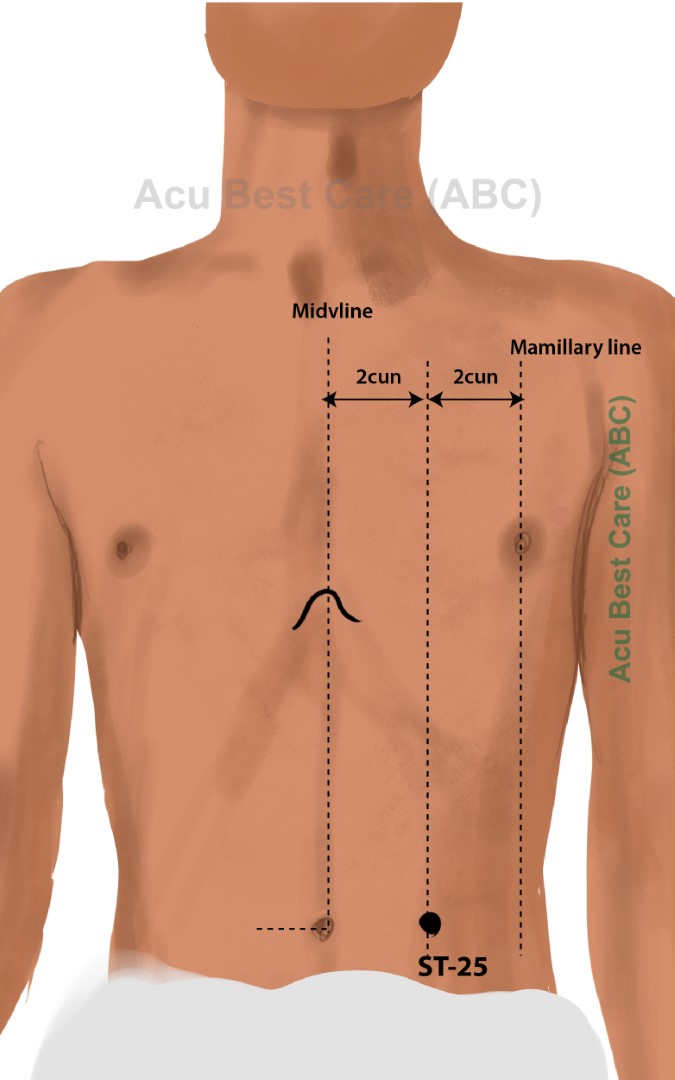 Acubestcare Meridian ST-25