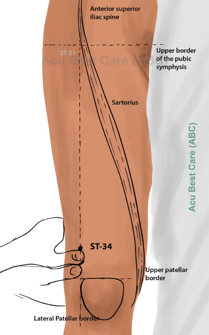 Acubestcare Meridian ST-34