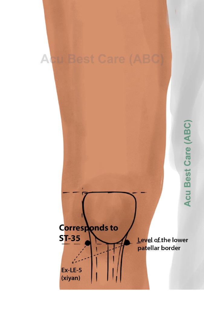 Acubestcare Meridian ST-35