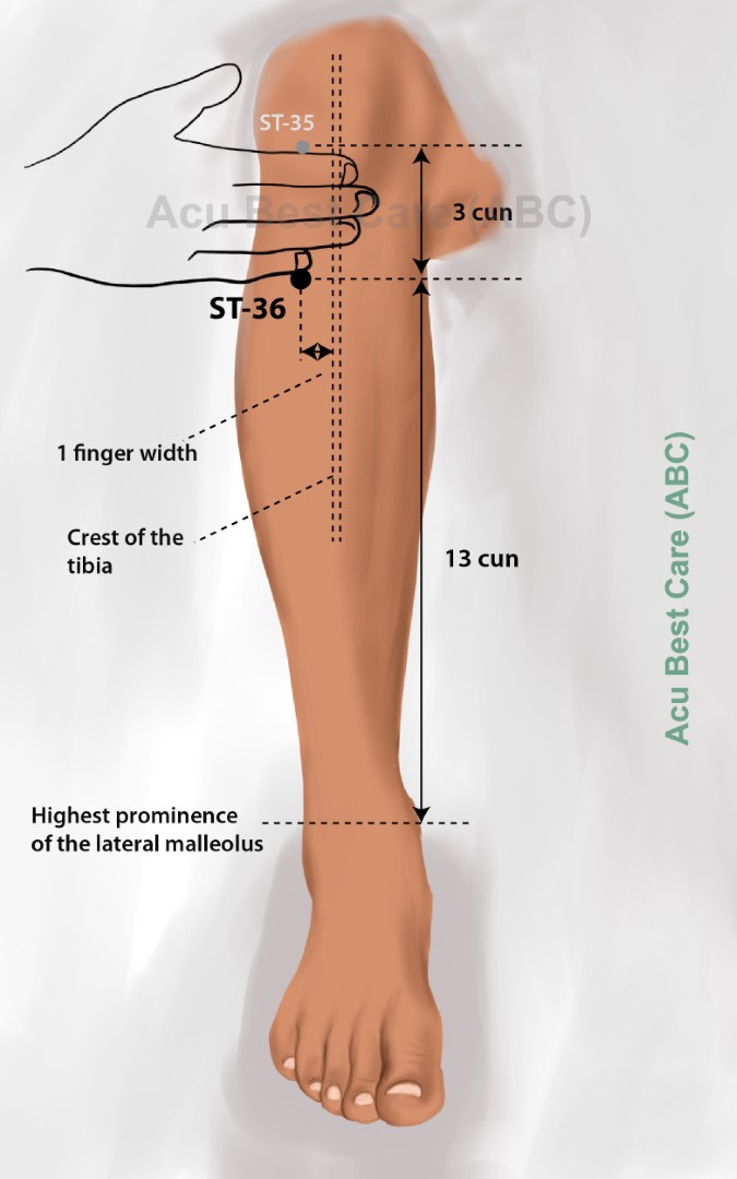 Acubestcare Meridian ST-36