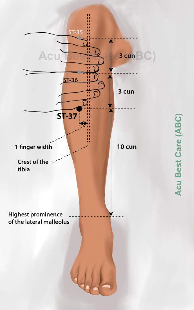 Acubestcare Meridian ST-37