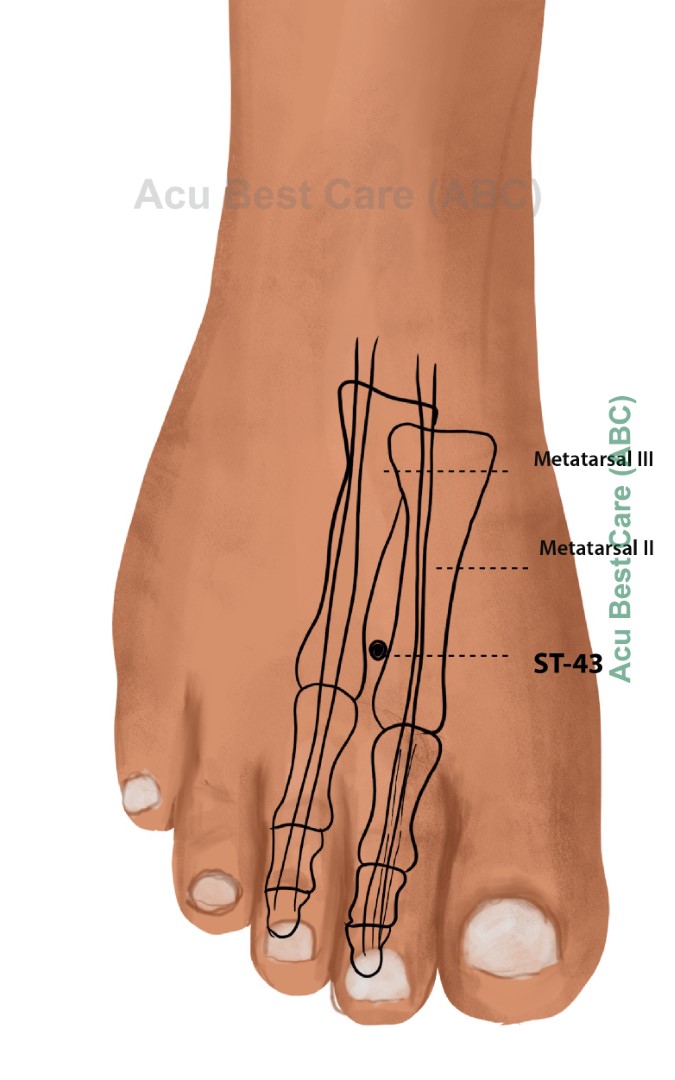 Acubestcare Meridian ST-43